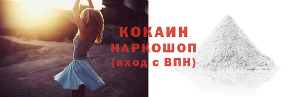 PSILOCYBIN Сосновый Бор