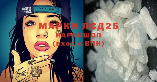 PSILOCYBIN Сосновый Бор