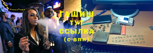 PSILOCYBIN Сосновый Бор