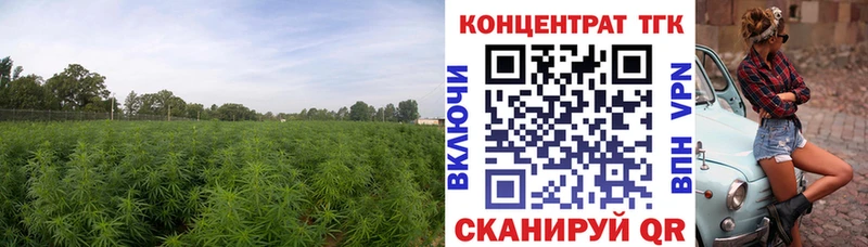 ТГК вейп  Купить где  Новокузнецк 